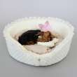 [Лежак] Лежанка для собак Puffy Пломбир