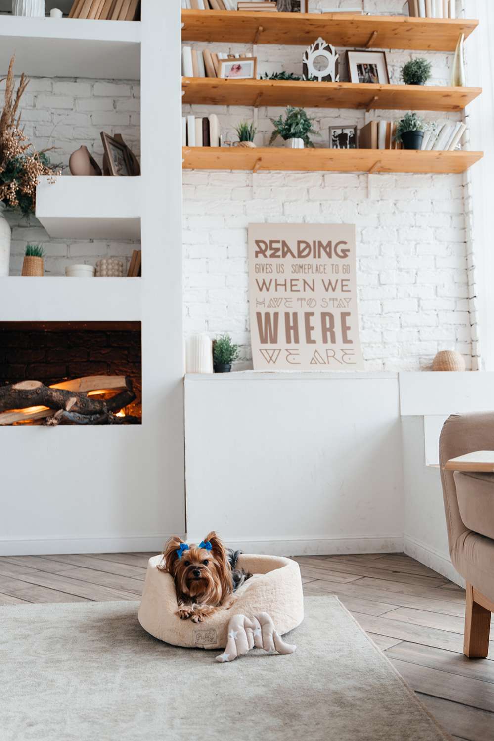 [Лежак] Лежанка для собак Puffy Нуга