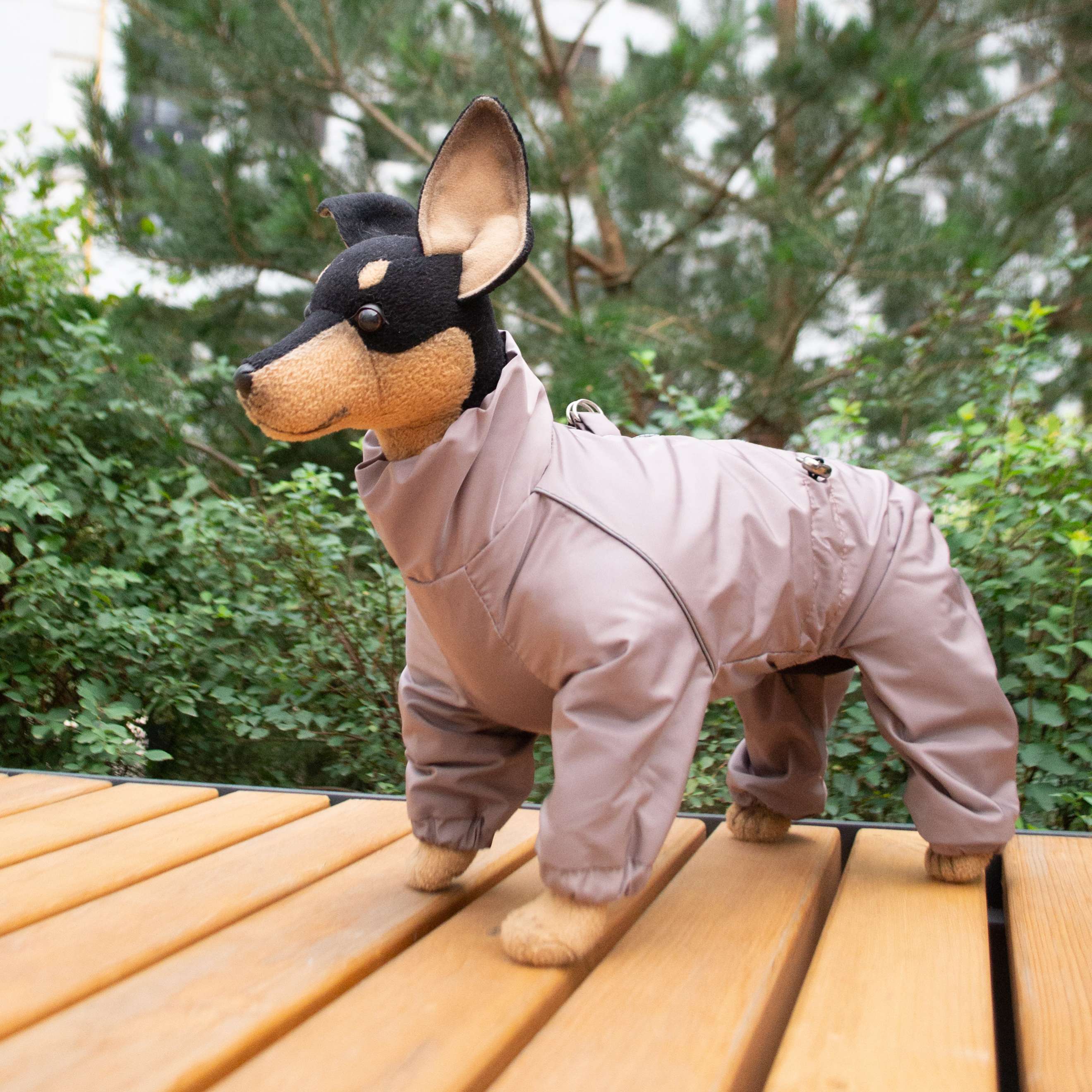 Дождевик для собаки Картер