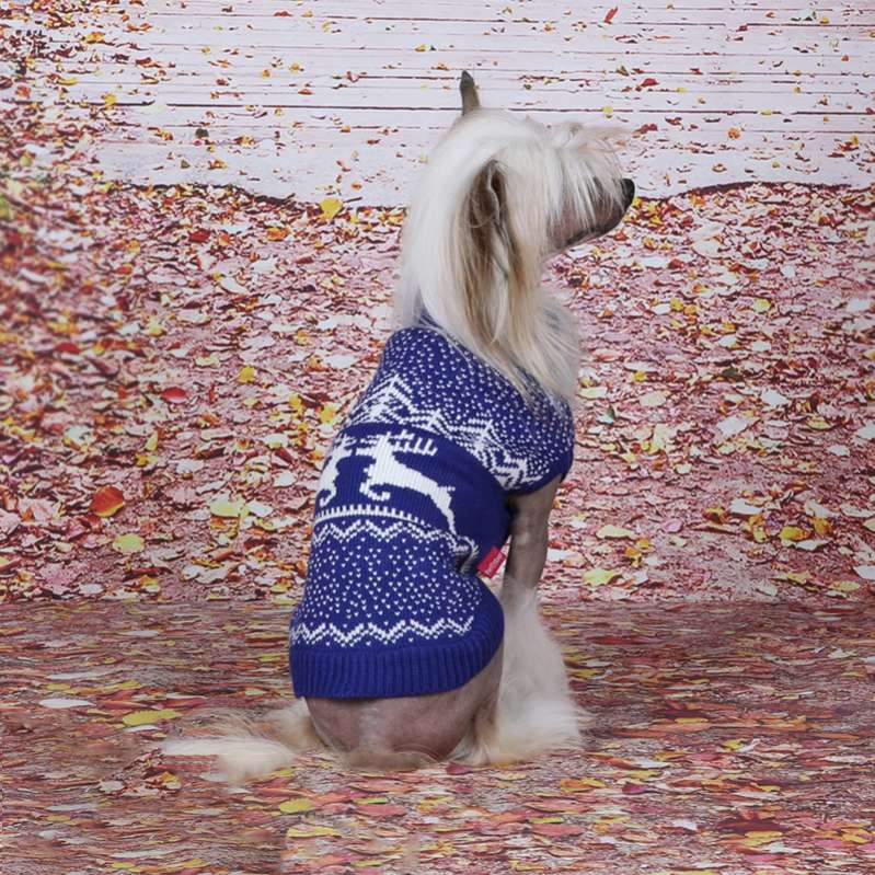 Свитер ForMyDogs Север синий