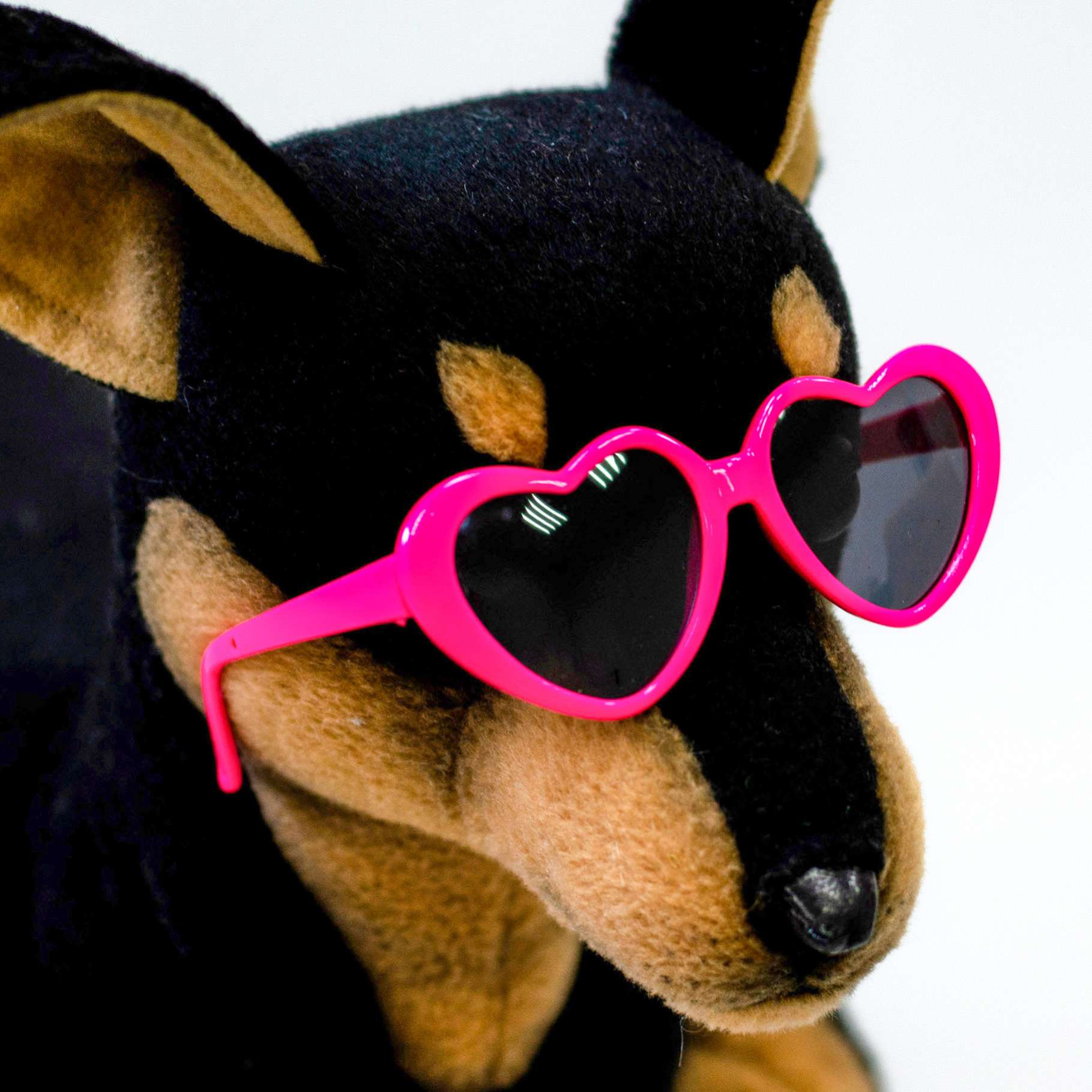 Солнечные очки для собак Сердечки