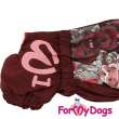 Комбинезон для таксы и корги ForMyDogs Мишки