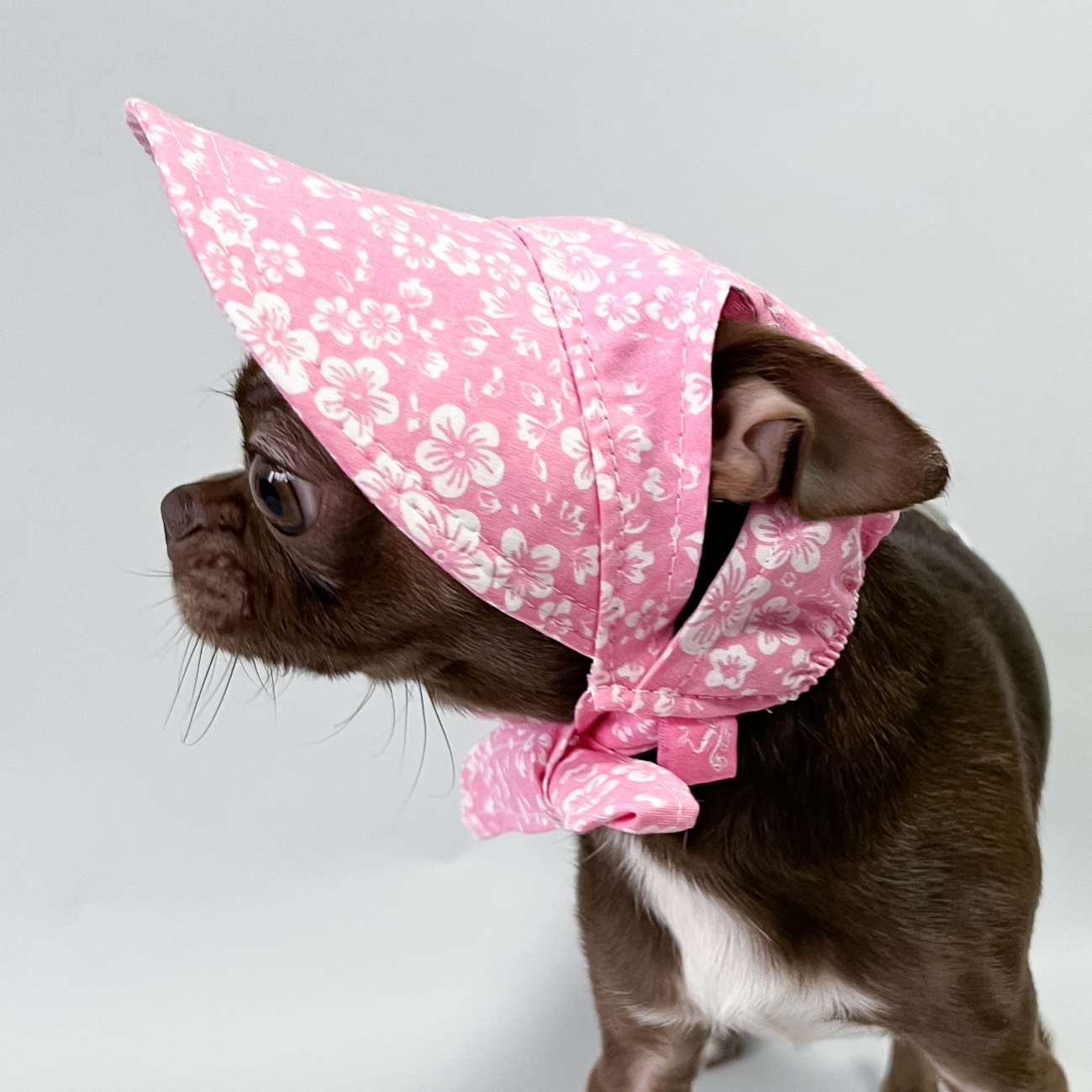 Панама для собаки Premium Фло