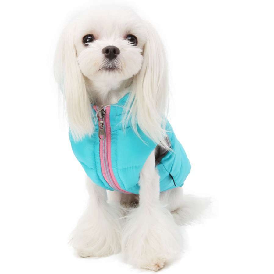 Жилетка для собаки PuppyAngel Шамони