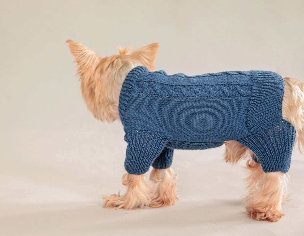 Вязаный костюм для собак Puffy Косички