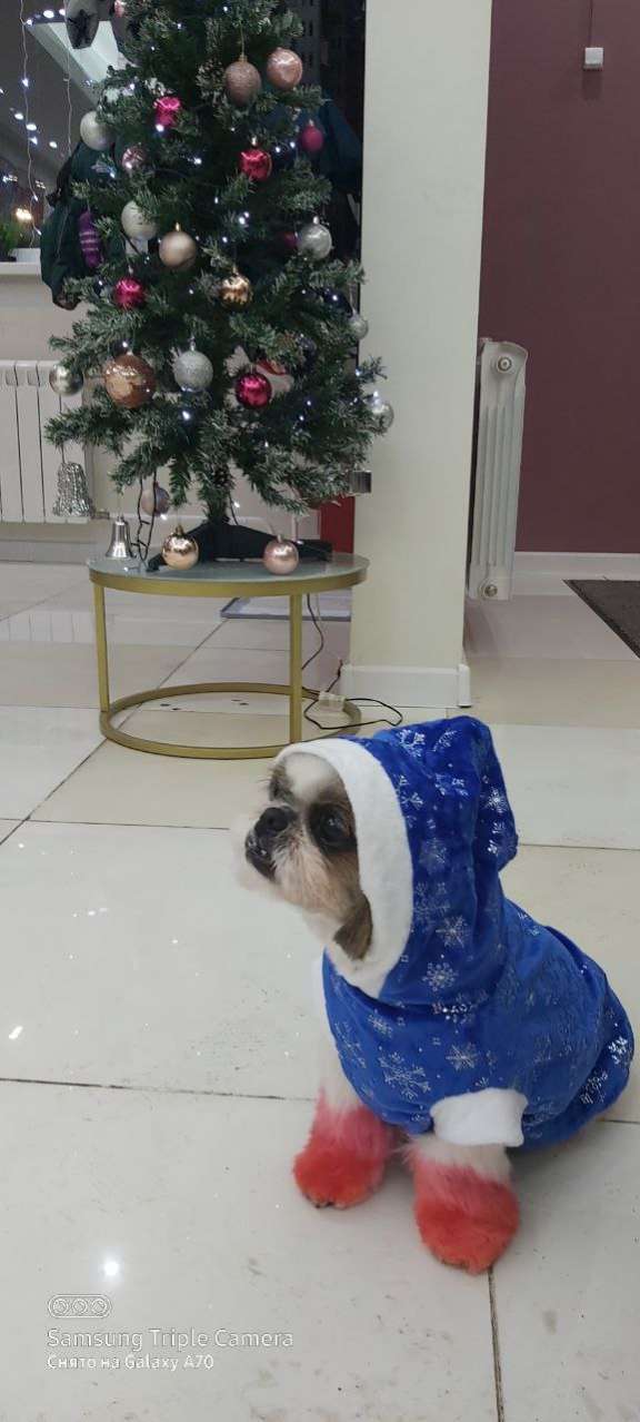 Новогодняя толстовка для собак Puffy Снежинка синяя