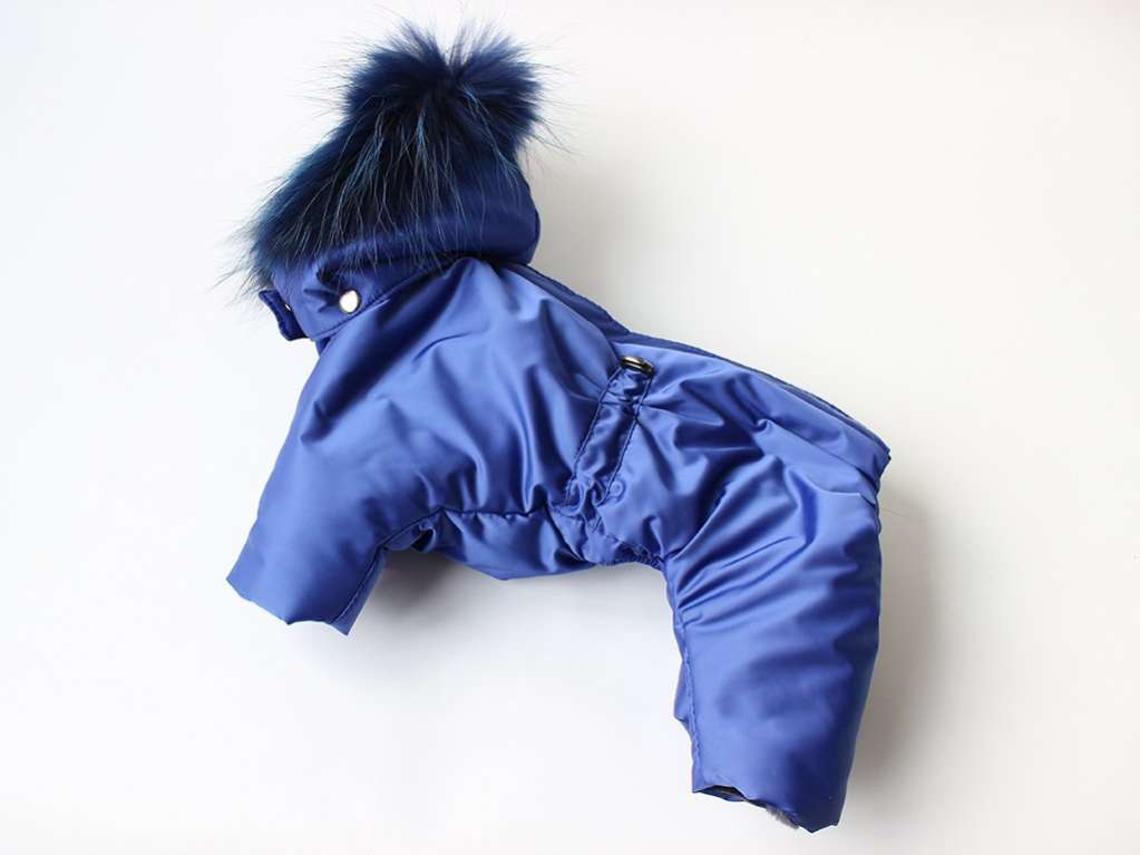 Зимний комбинезон для собак Северное сияние Гавана