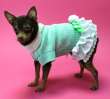 Шерстяное платье для собак Puffy Моника (4 цвета)