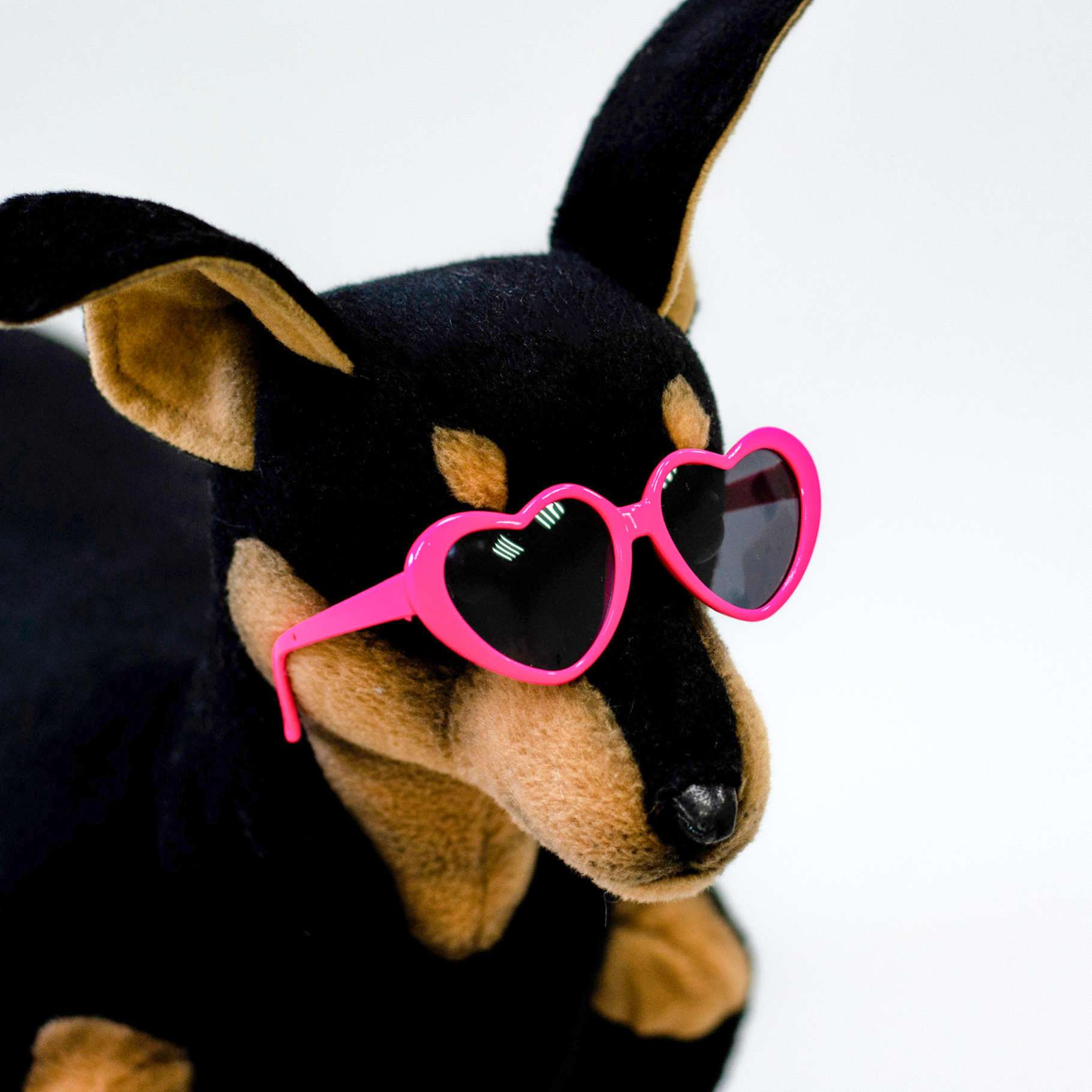 Солнечные очки для собак Сердечки