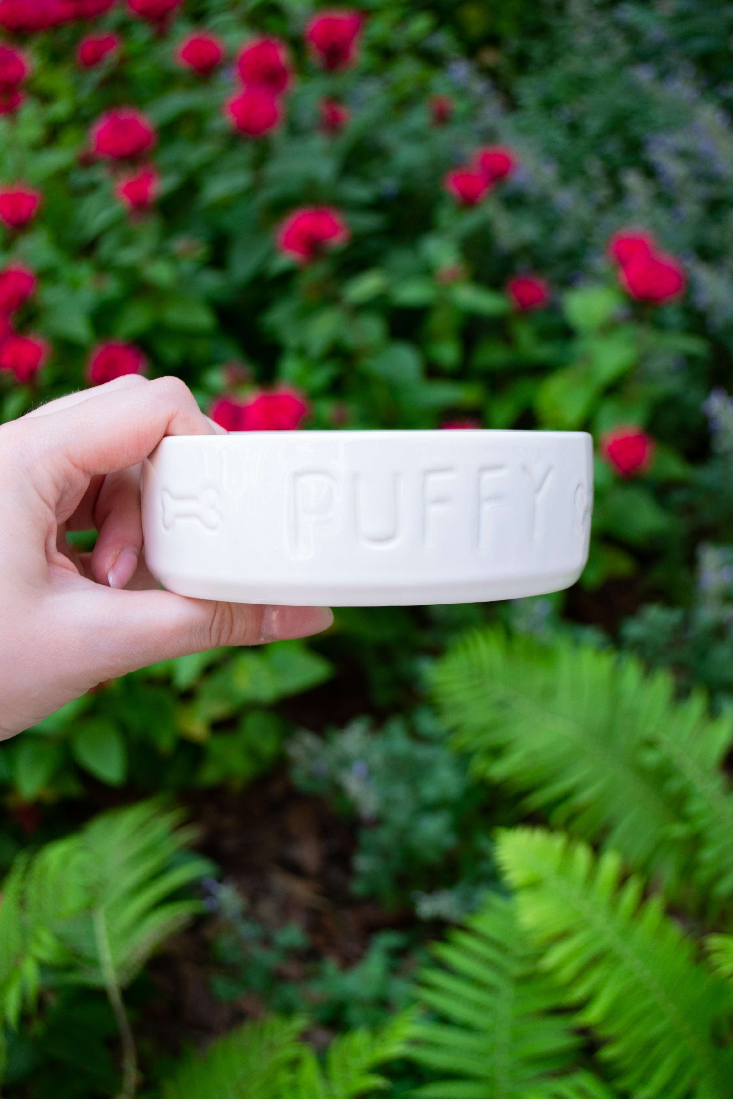 Миска для собак фарфоровая для собак Puffy Арт