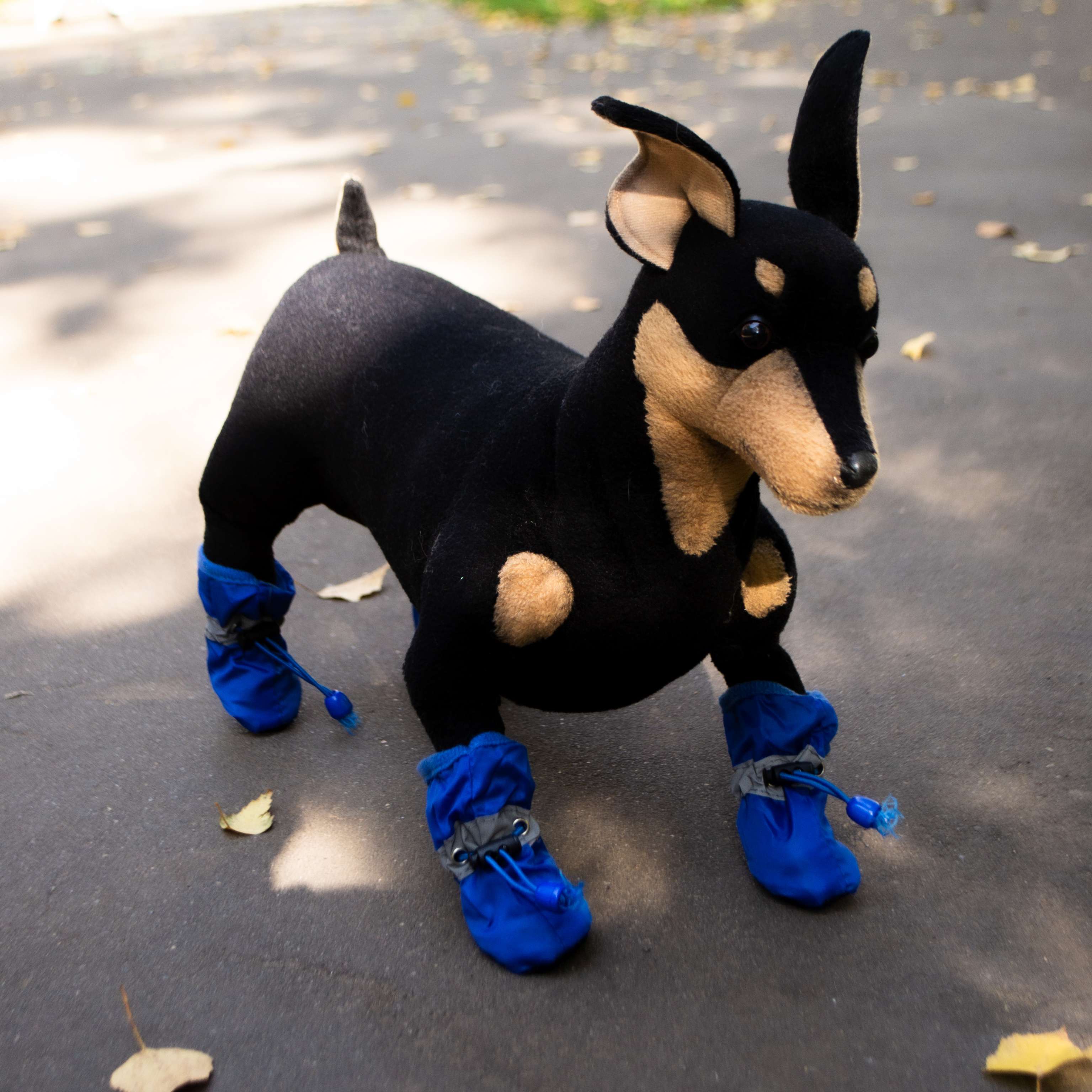 Обувь для собак Спорт