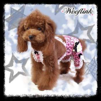 Брюки для собак Puppy Angel Изящный рок-н-ролл