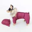 Зимний комбинезон для собак Северное сияние Бургунди