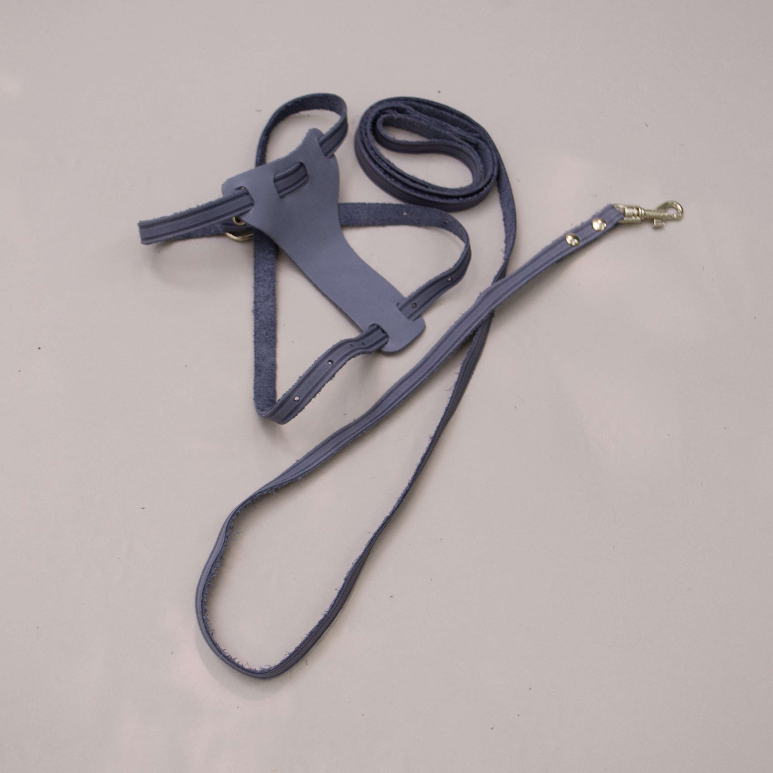 Кожаная шлейка с поводком для собак