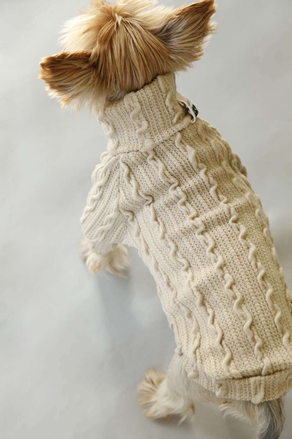 Свитер для собак Pet Роут