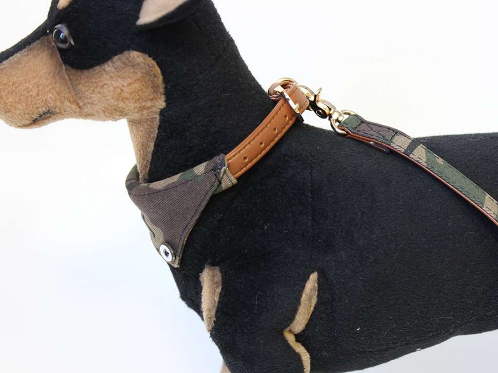 Ошейник и поводок для собаки Милитари