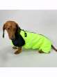 Дождевик для таксы и корги Puffy Лайм Салатовый