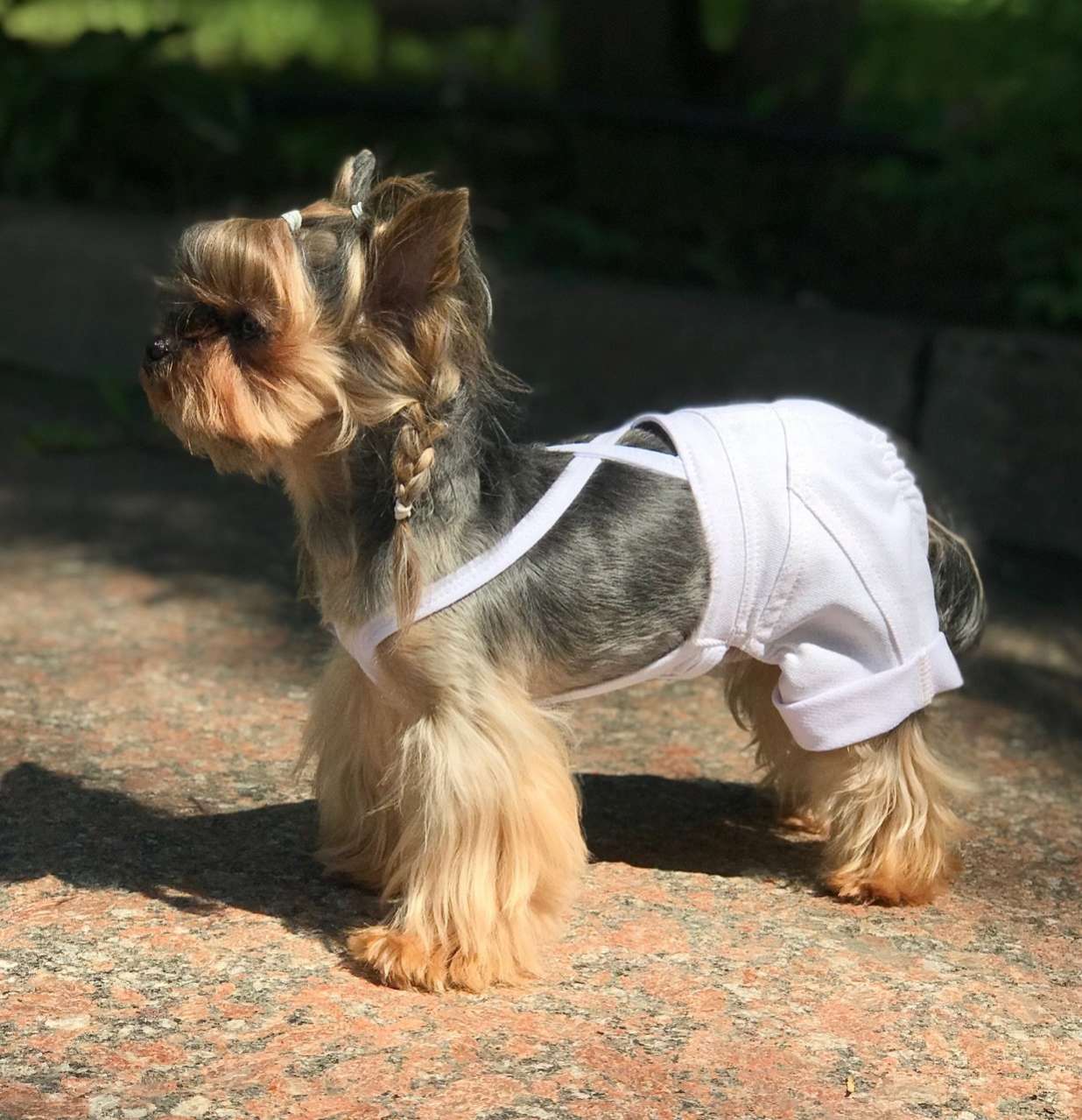 Шорты для собак Premium Джинса