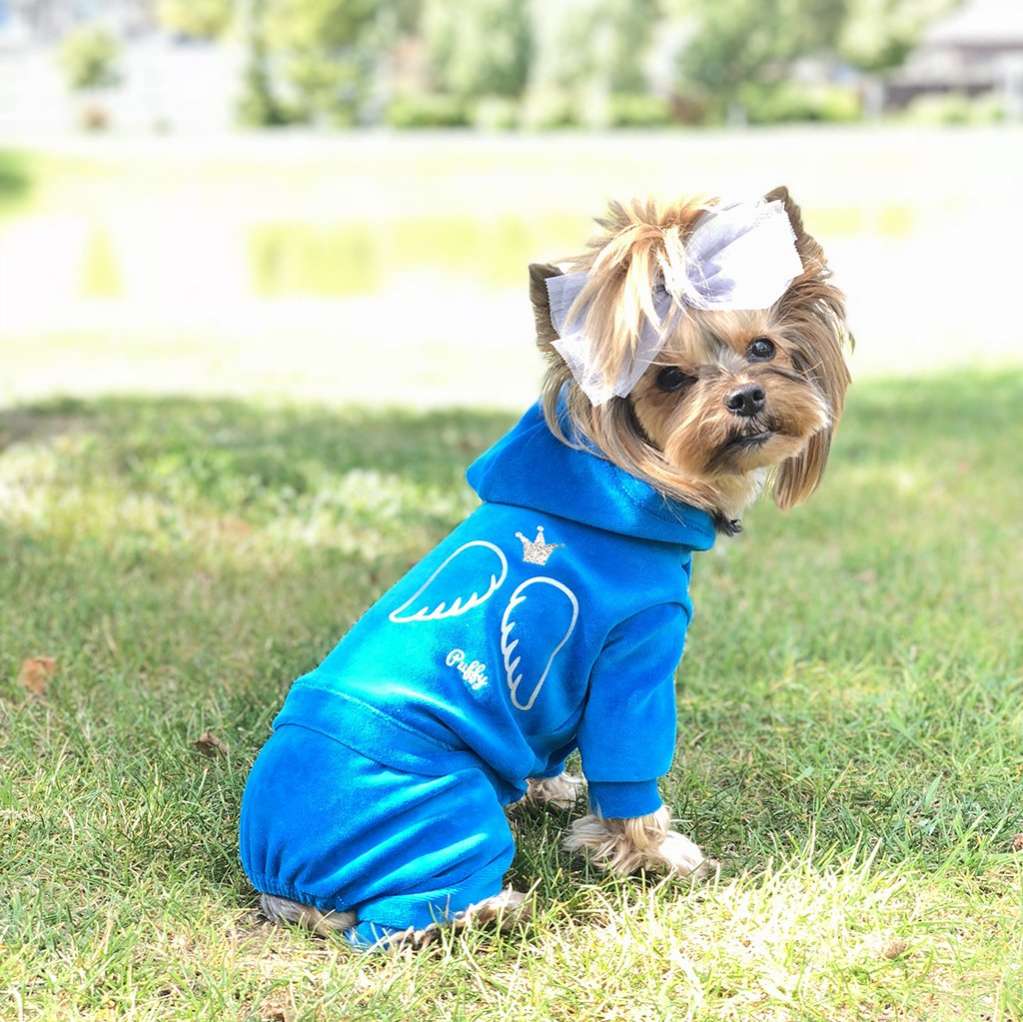 Костюм для собак велюровый Puffy Маленький ангел