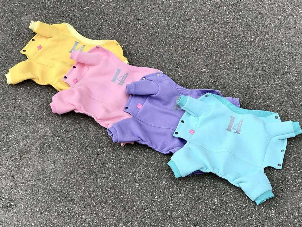 Комплект костюм и жилет для собаки Premium 15