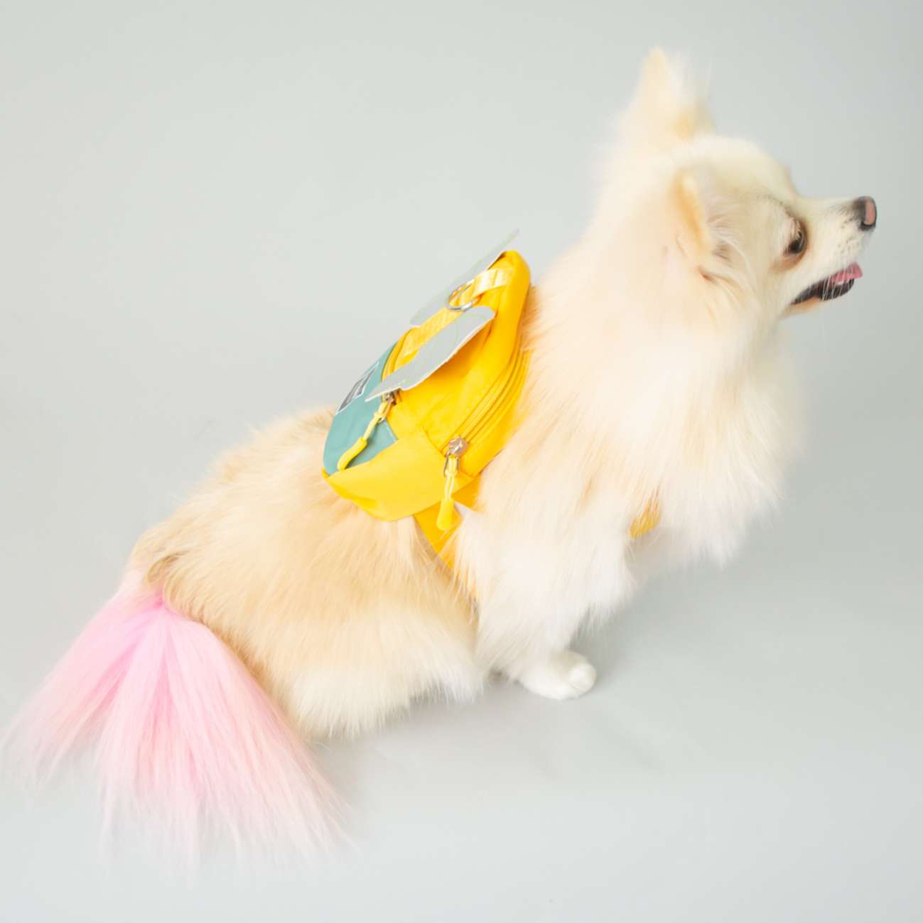 Рюкзак для собак Pet Джуманджи