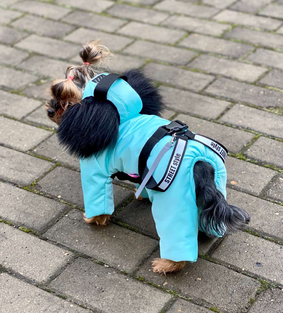 Зимний комбинезон для собак Premium Скай