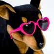 Солнечные очки для собак Сердечки