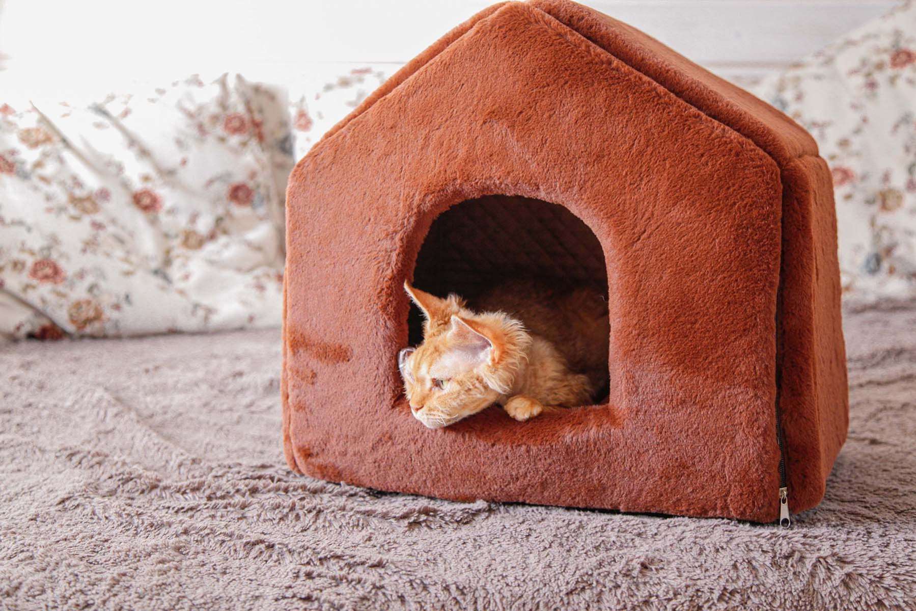 Домик для собаки Puffy Fancy Каштан