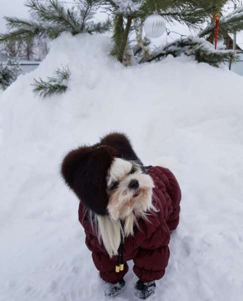 Норковая шапка для собак Puffy Ушки черная