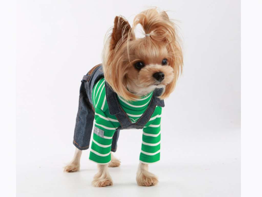 Штаны для собак PuppyAngel Озон