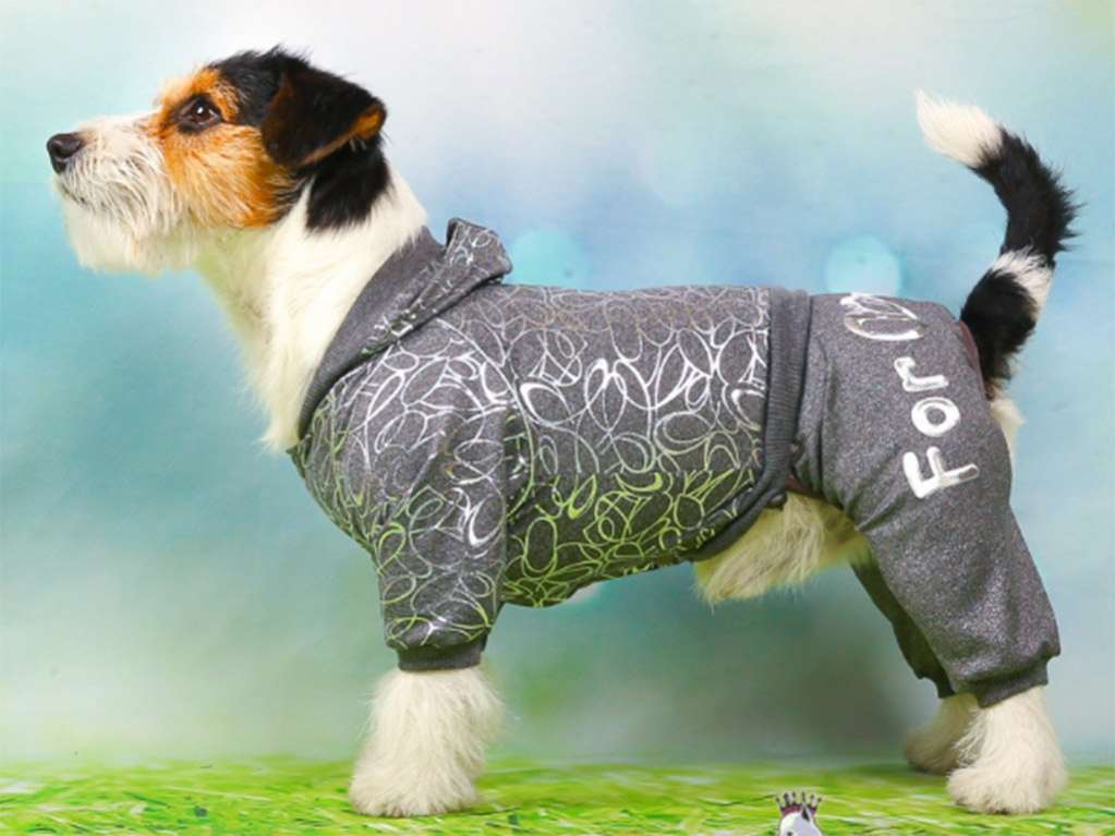 Костюм для собак трикотажный ForMyDogs Металлик