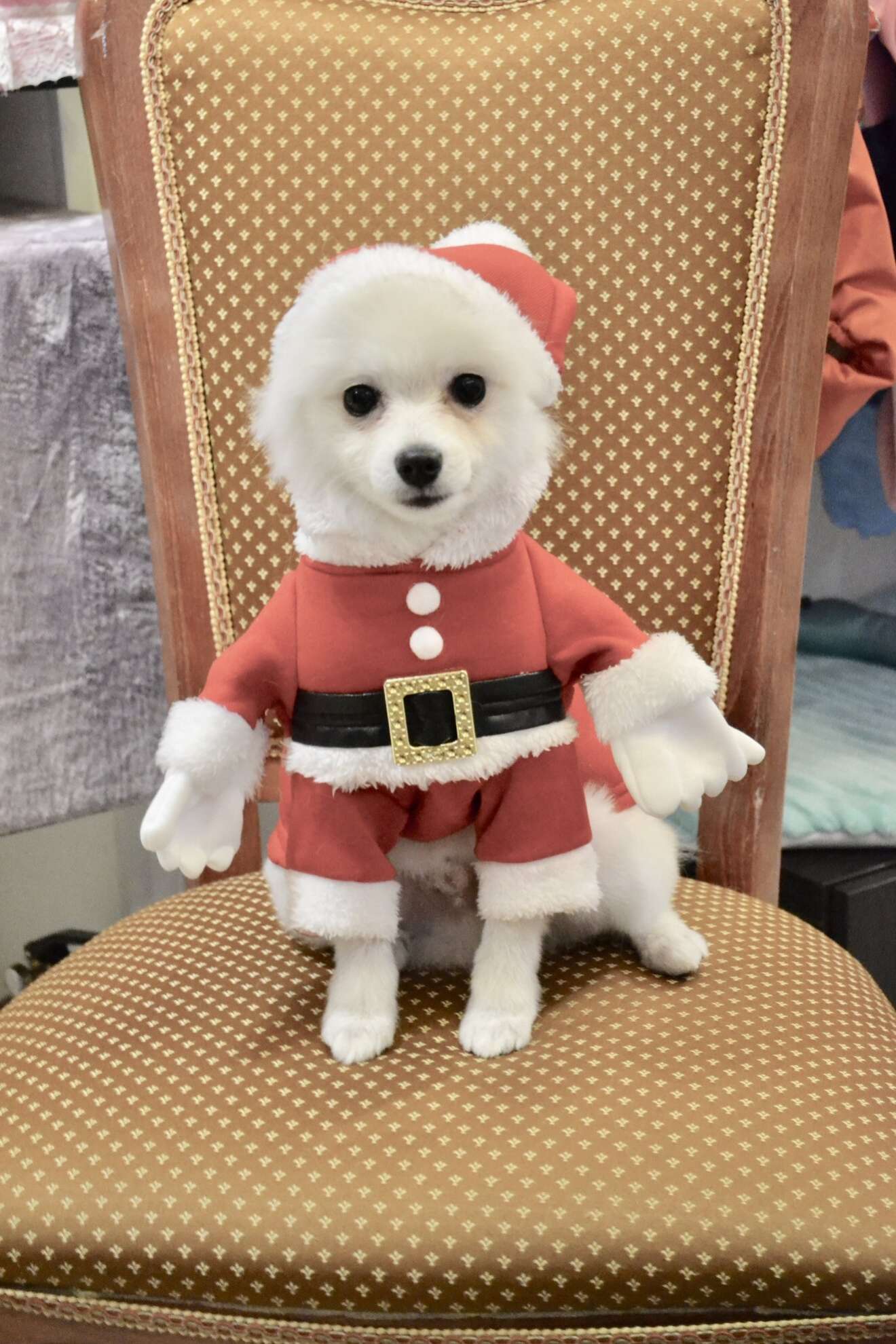 Карнавальный новогодний костюм для собаки
