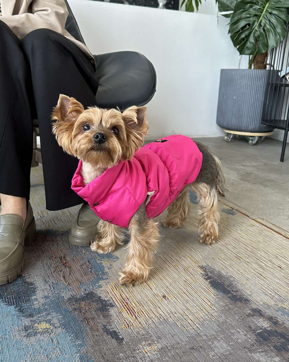 Жилетка для собаки Puffy Флеш Фуксия