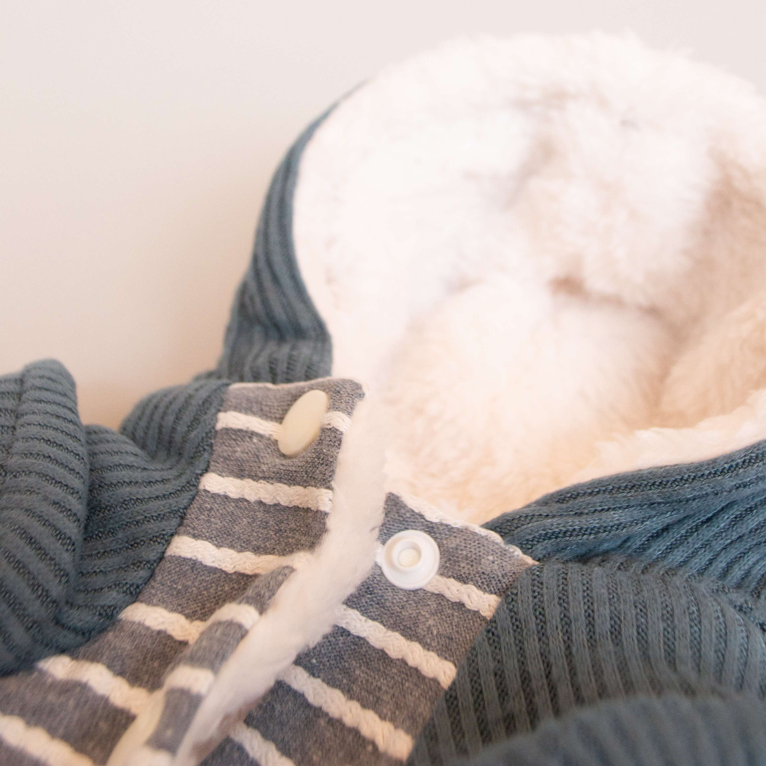 Костюм для собак теплый Pet Топтыжка