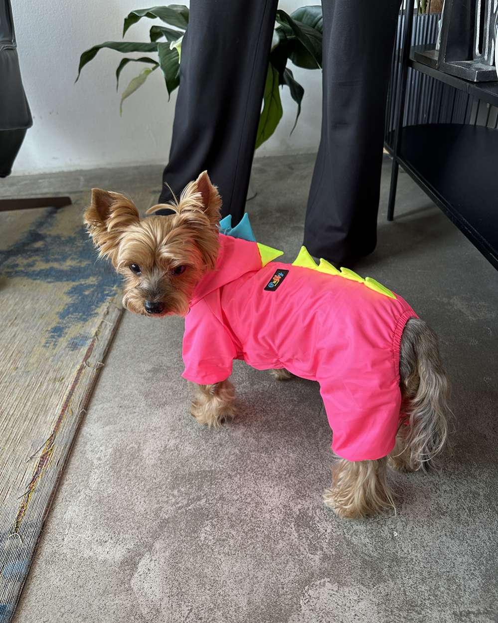 Утепленный дождевик Puffy Дино розовый