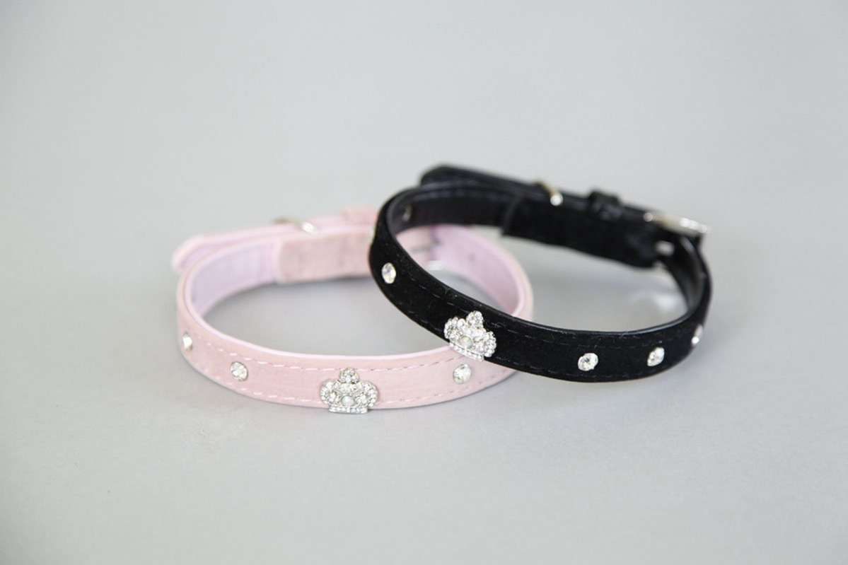 Ошейник для собак Pet Корона