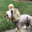 Шапка для собаки Puffy Зимушка