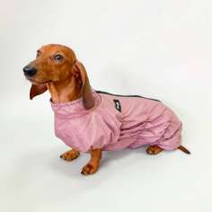 Дождевик для таксы и корги утепленный Puffy Норд пудровый