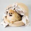 Домик для собаки со шторками Puffy в облаках