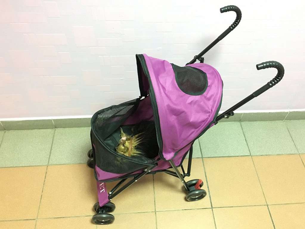 Коляска для собак Лада