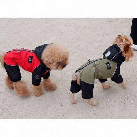 Дождевик для собаки утепленный PA Осень