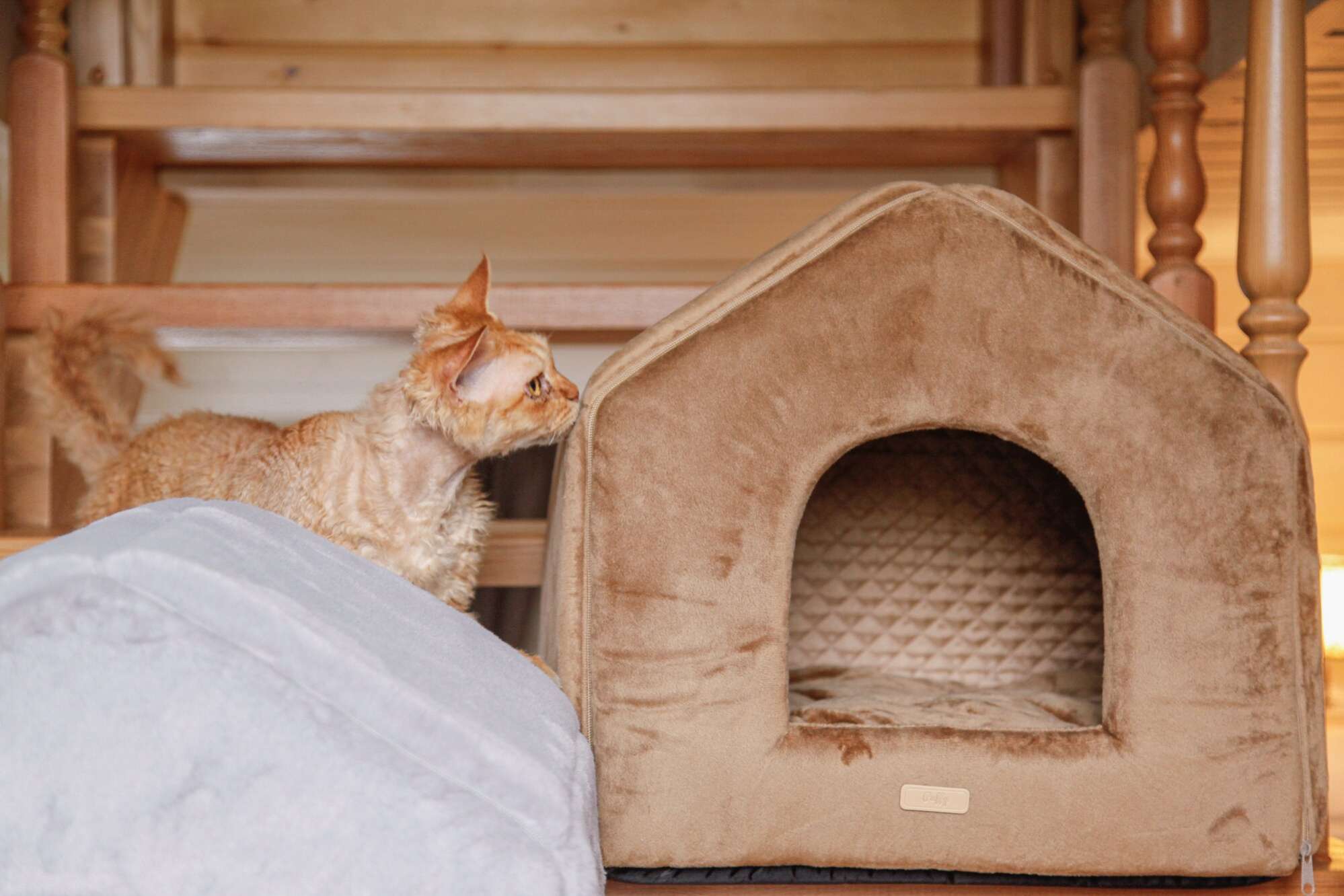 Домик для собаки Puffy Fancy Шокко