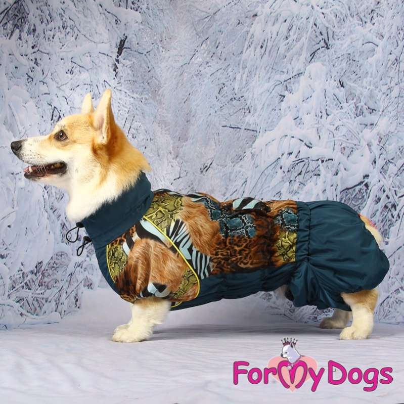 Комбинезон для таксы и корги ForMyDogs Энимал