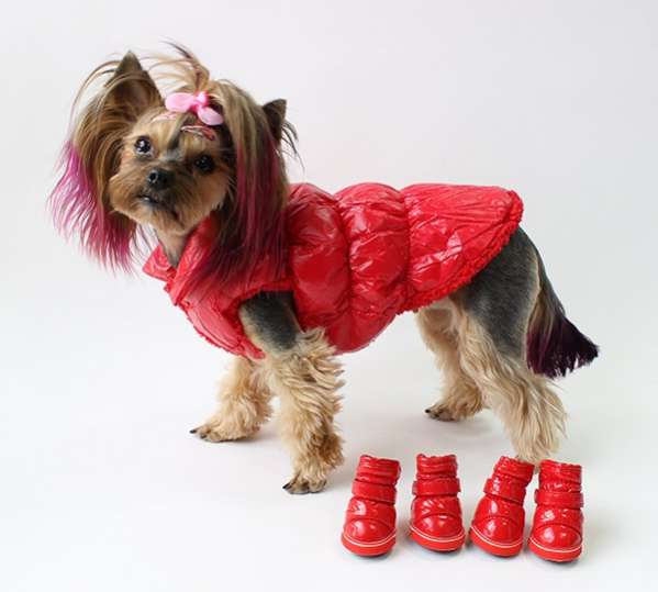 Жилетка для собаки Pet Краски