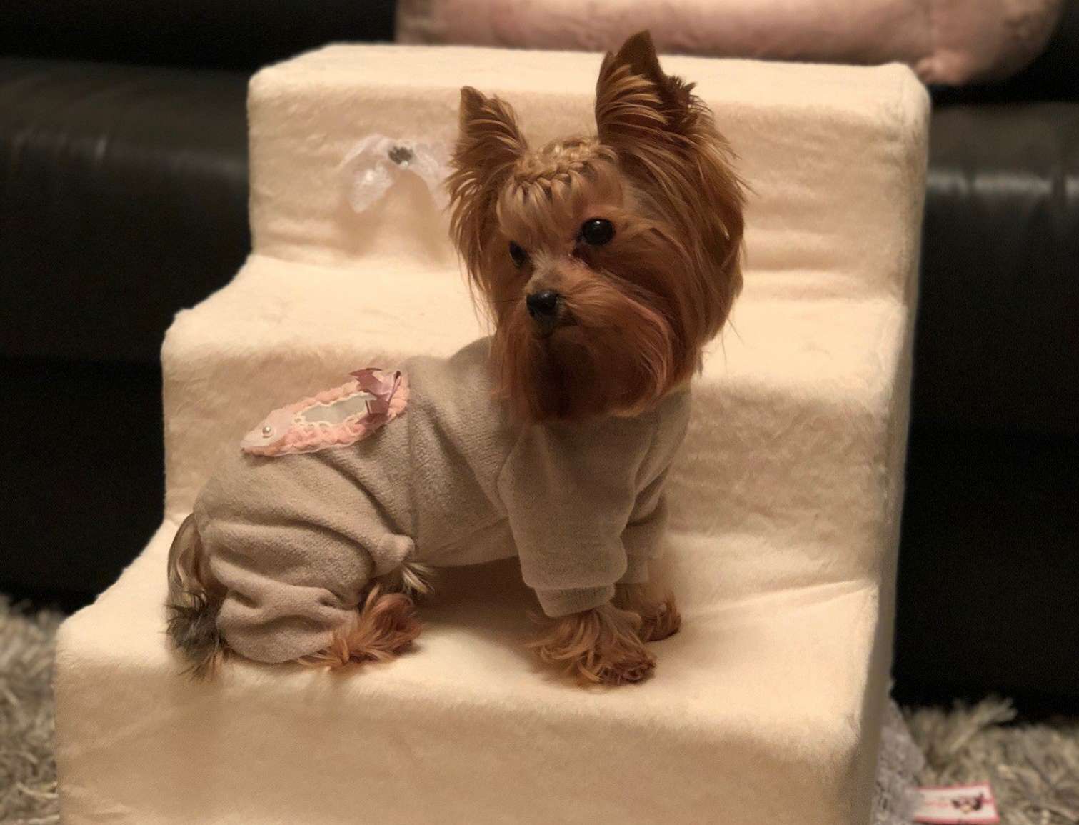 Вязаный костюм для собак Балерина