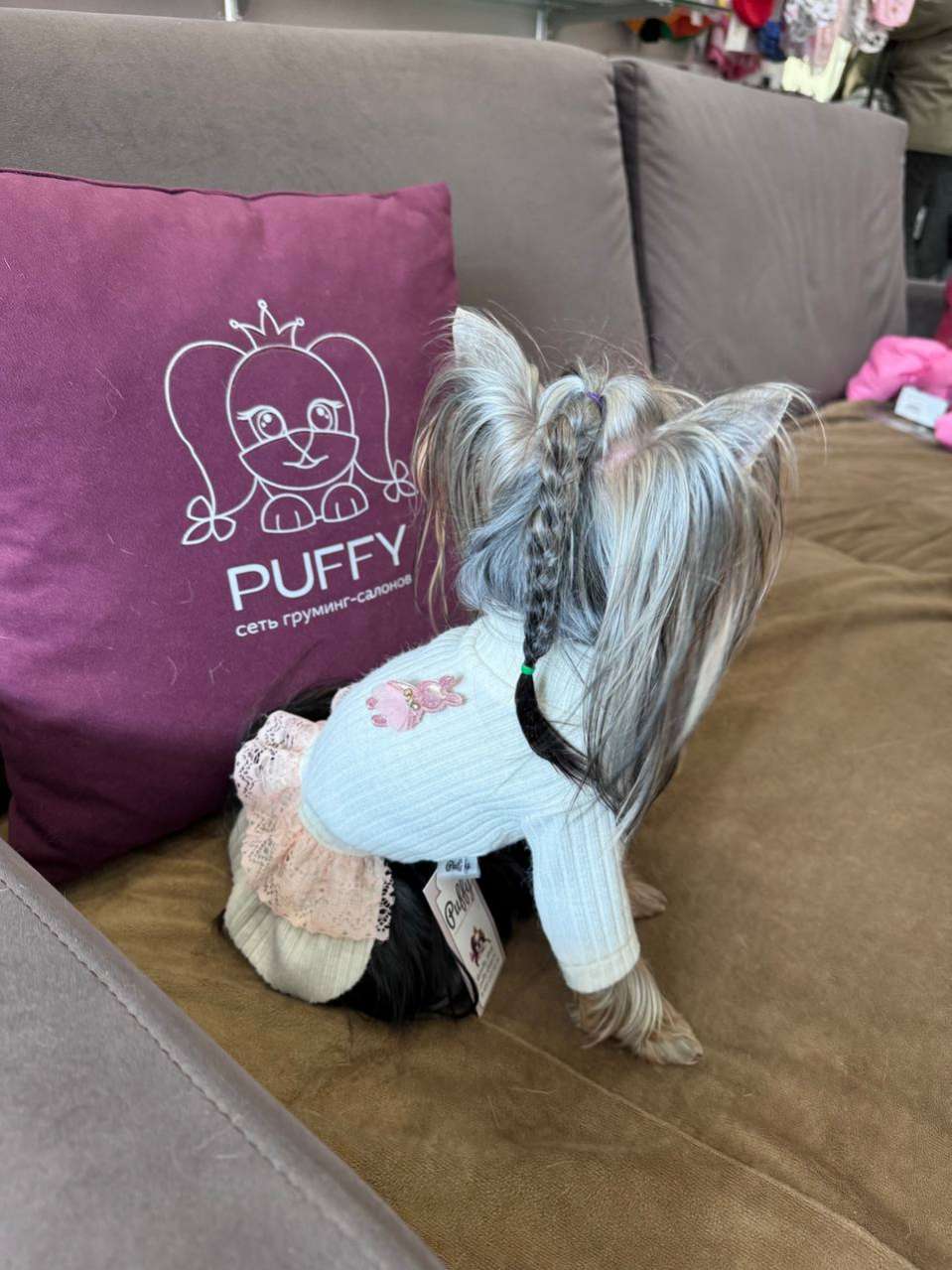 Платье для собак Puffy Лапша молочный