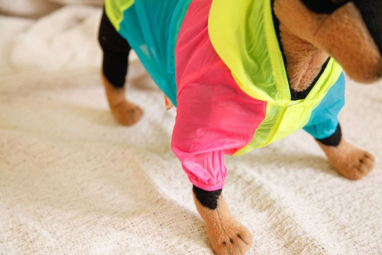 Ветровка для собак Pet Радуга