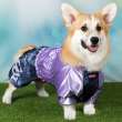 Дождевик для таксы и корги ForMyDogs Джинса