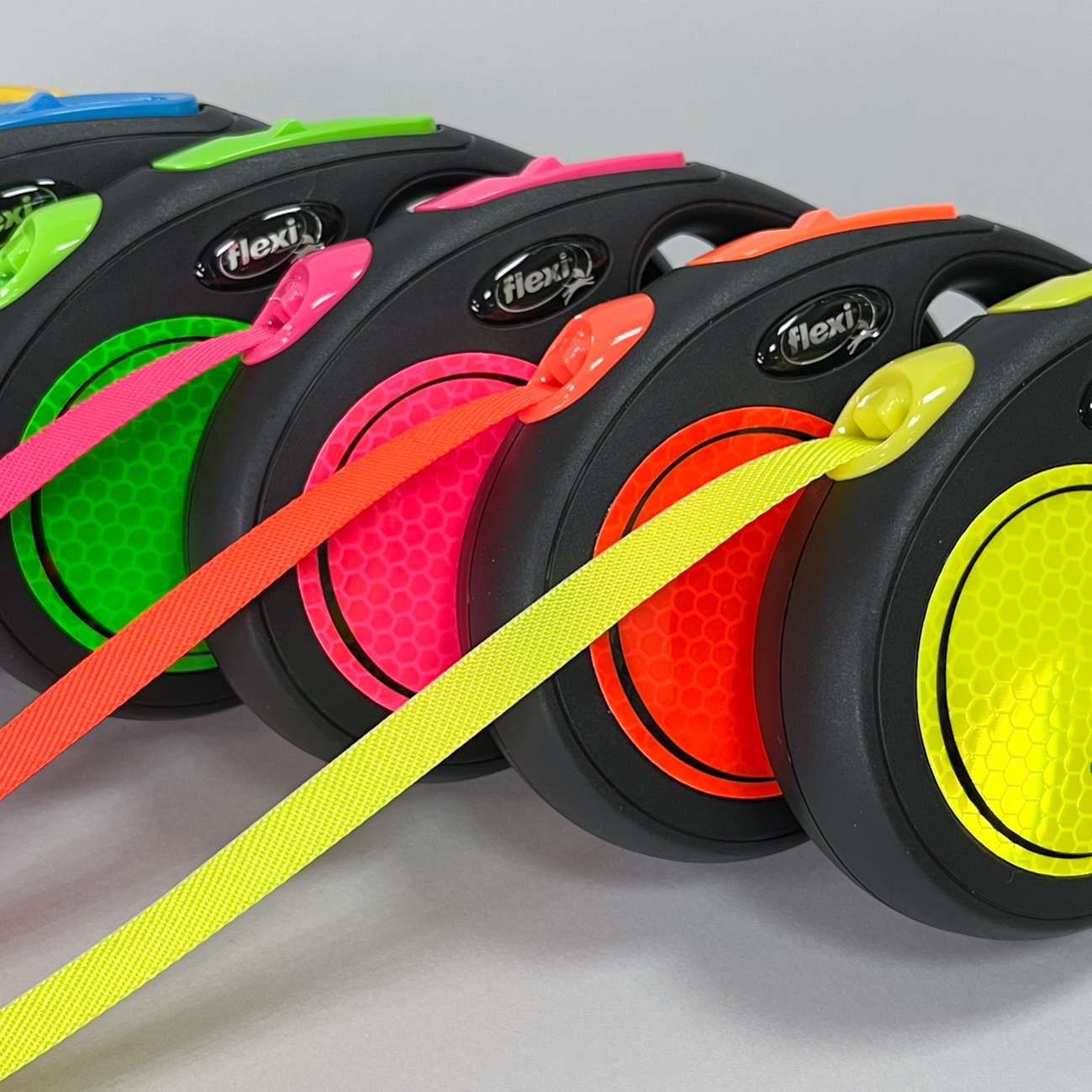 Рулетка для собак на ленте Flexi New Neon