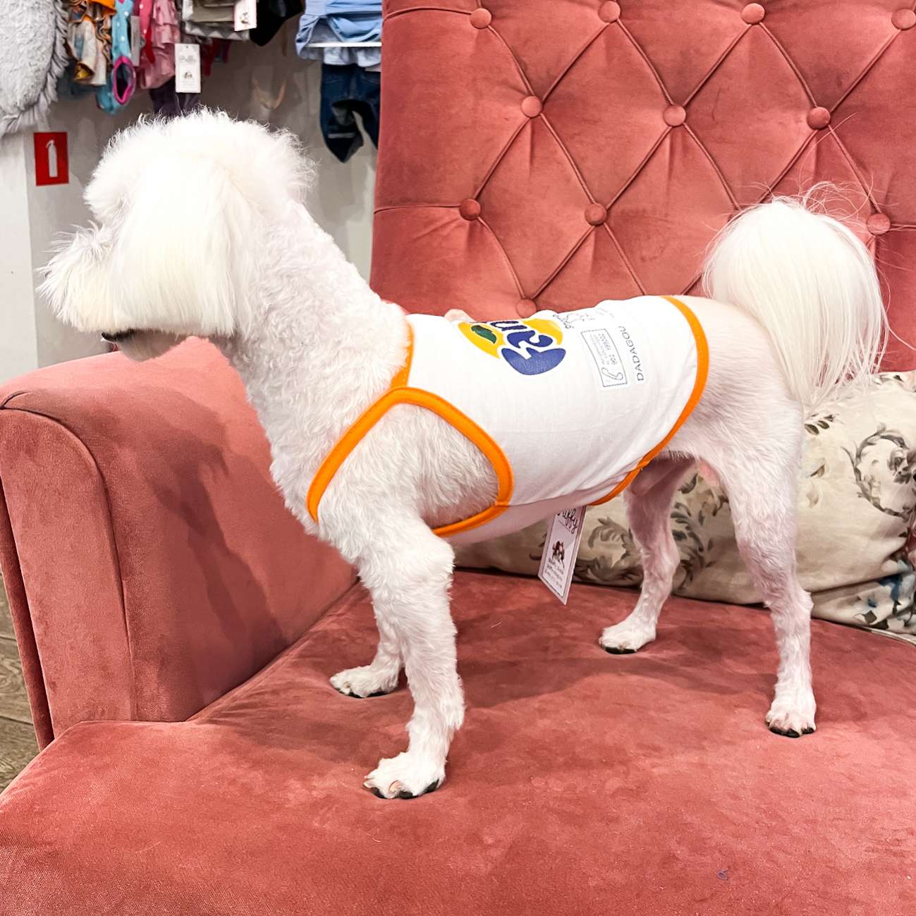 Топик для собак Pet Фанта